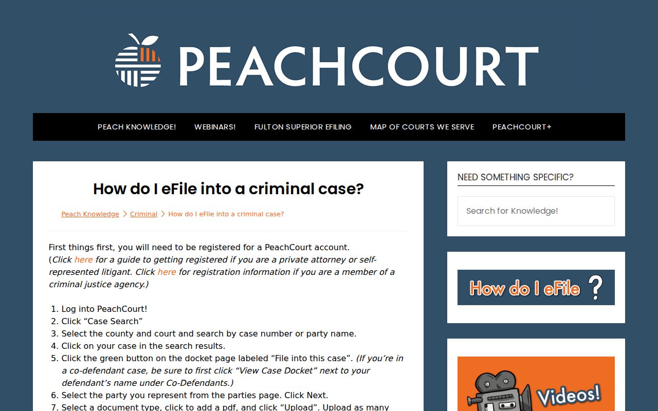 Evans County court case lookup PeachCourt filing guide