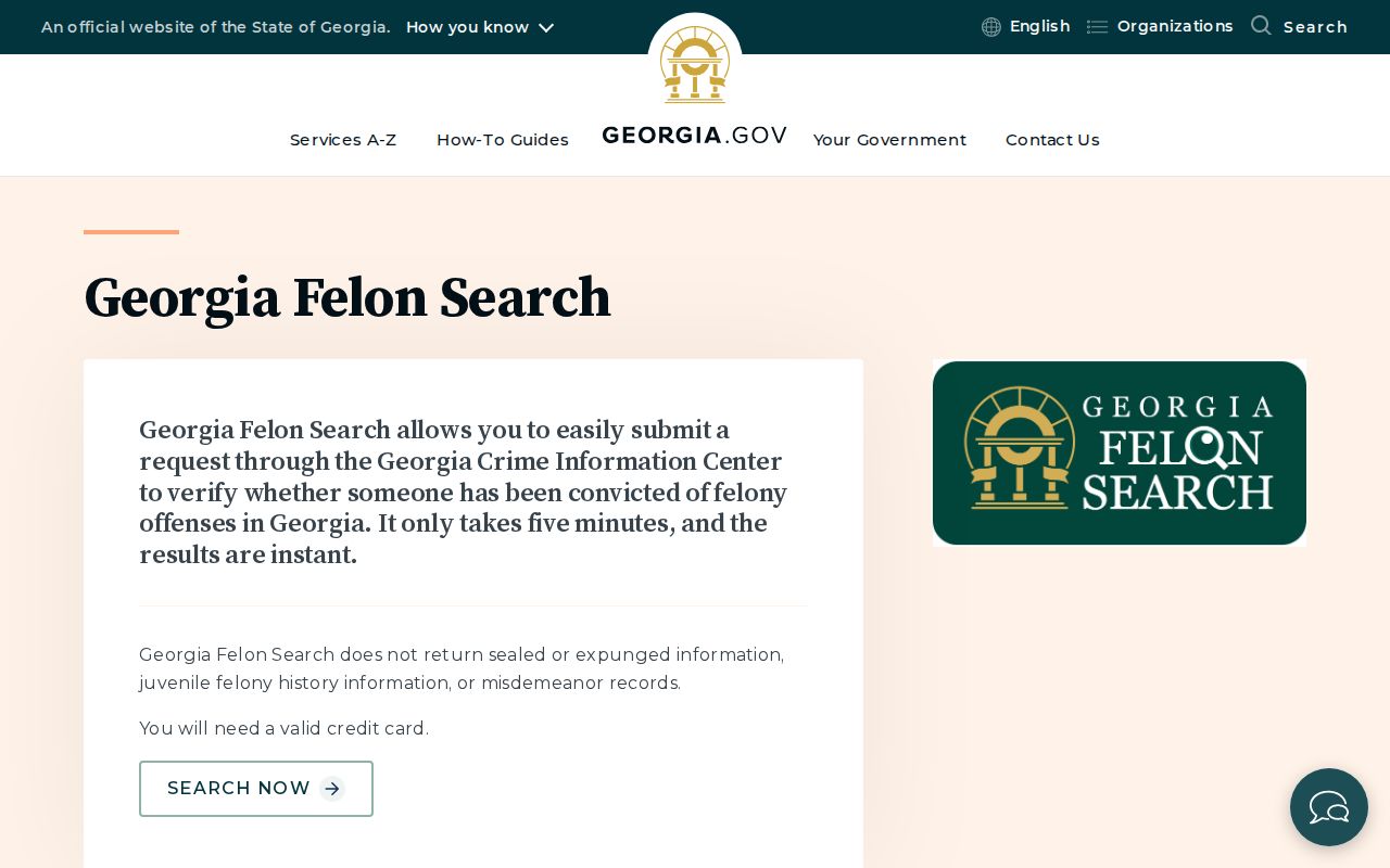Georgia Felon Search official entry page